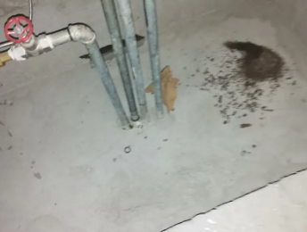 云县卫生间测漏水价格明细