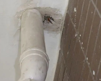 云县漏水检测哪家好